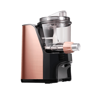Top 10 brands of noodle machines