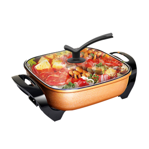 Top 10 brands of electric wok wok