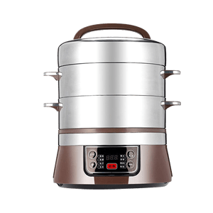 Top 10 brands of electric steamers