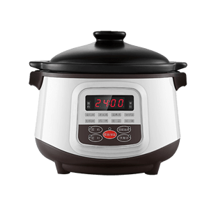 Top 10 brands of electric cooker