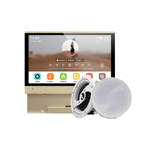 Top 10 brands of background music system