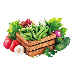 Top 10 brands of vegetables
