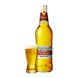 Top 10 brands of beer