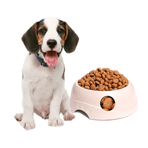 Top 10 brands of pet food