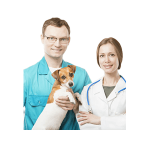 Top 10 brands of pet hospitals