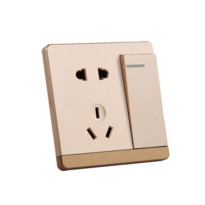 Top 10 brands of switches and sockets
